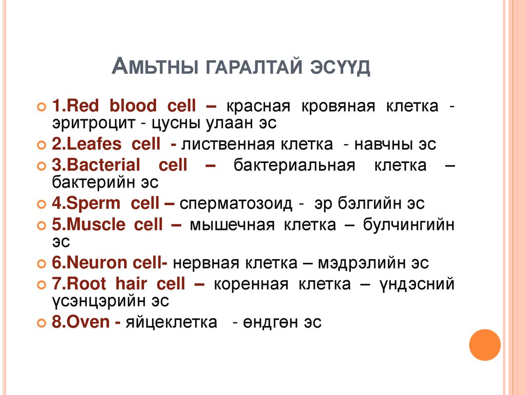Амьтны гаралтай эсүүд 1.Red blood cell – красная кровяная клетка - эритроцит - цусны улаан эс. 2.Leafes cell - лиственная клетка - навчны эс.