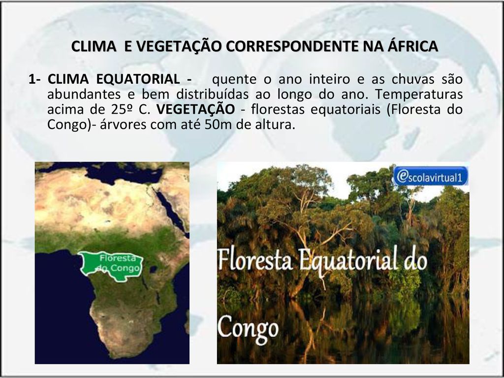 CLIMA E VEGETAÇÃO CORRESPONDENTE NA ÁFRICA