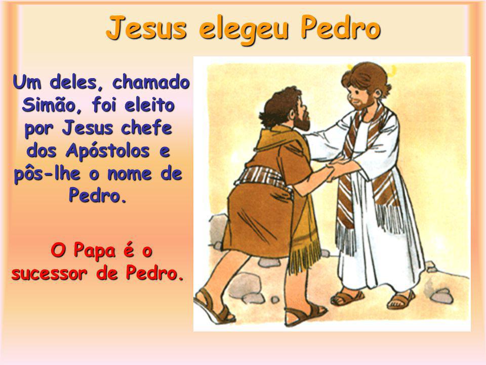 O Papa é o sucessor de Pedro.