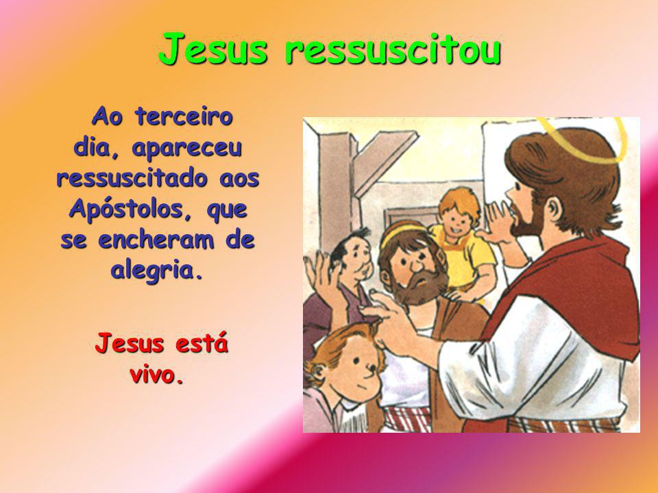 Jesus ressuscitou Ao terceiro dia, apareceu ressuscitado aos Apóstolos, que se encheram de alegria.