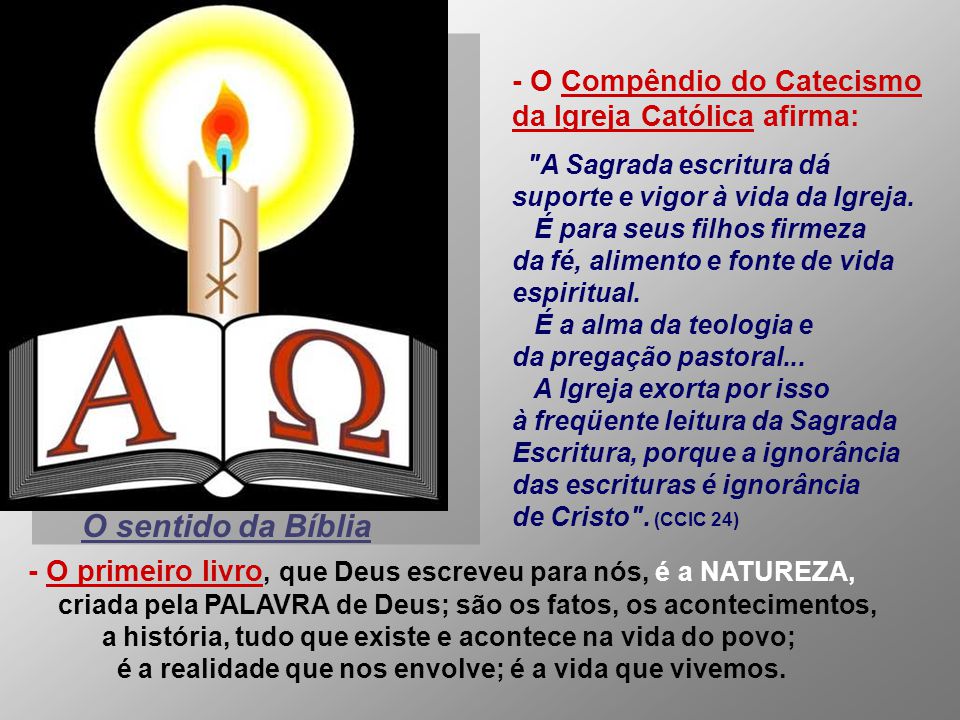 - O Compêndio do Catecismo da Igreja Católica afirma: