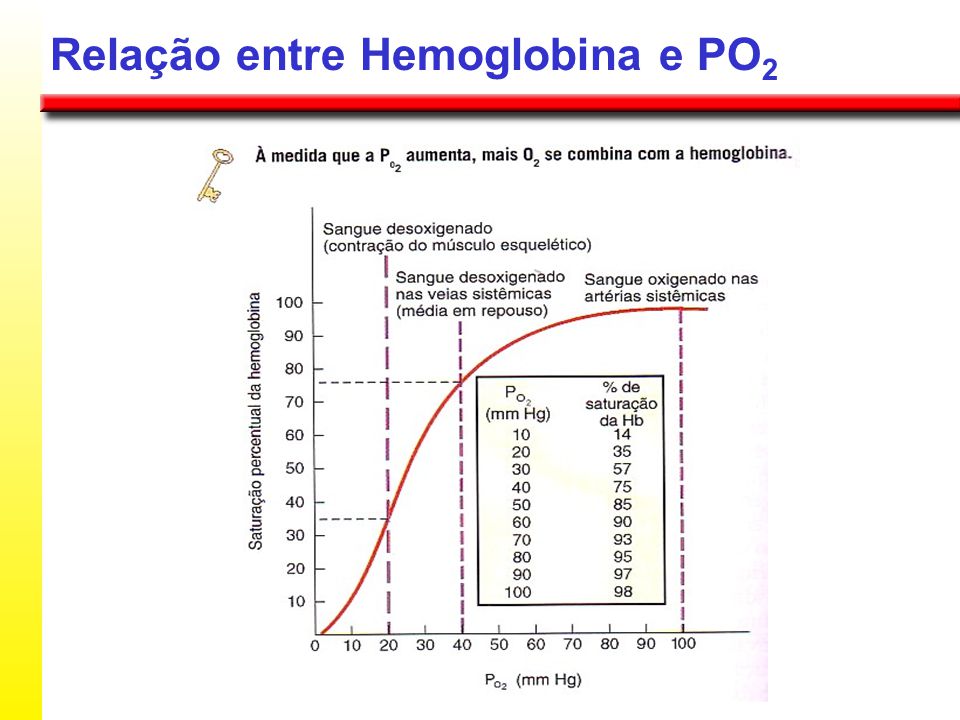 Relação entre Hemoglobina e PO2