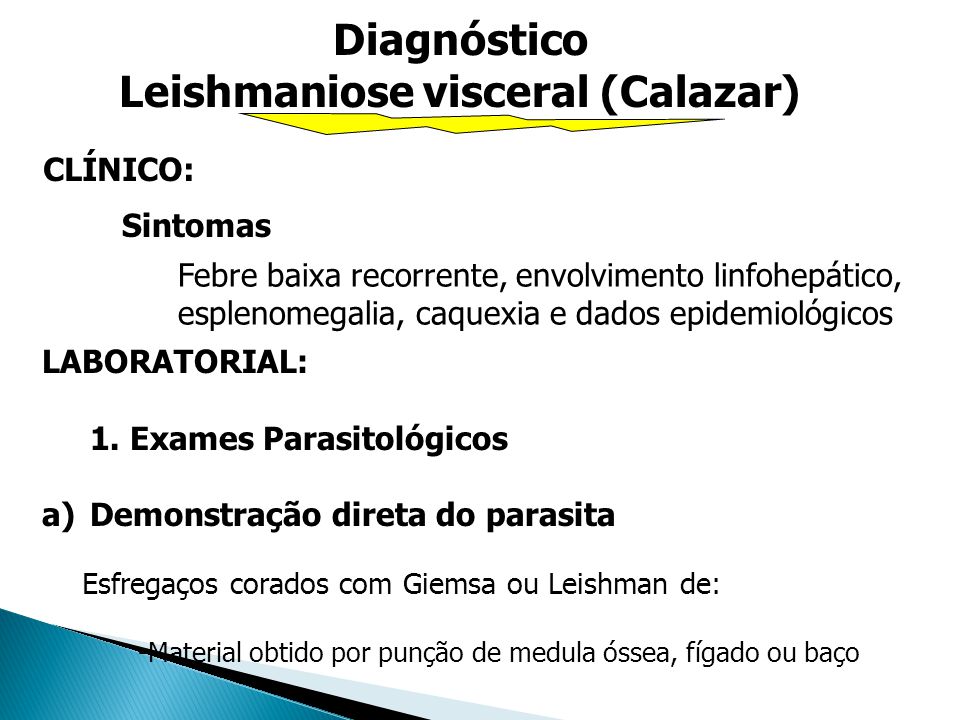 Leishmaniose visceral (Calazar)