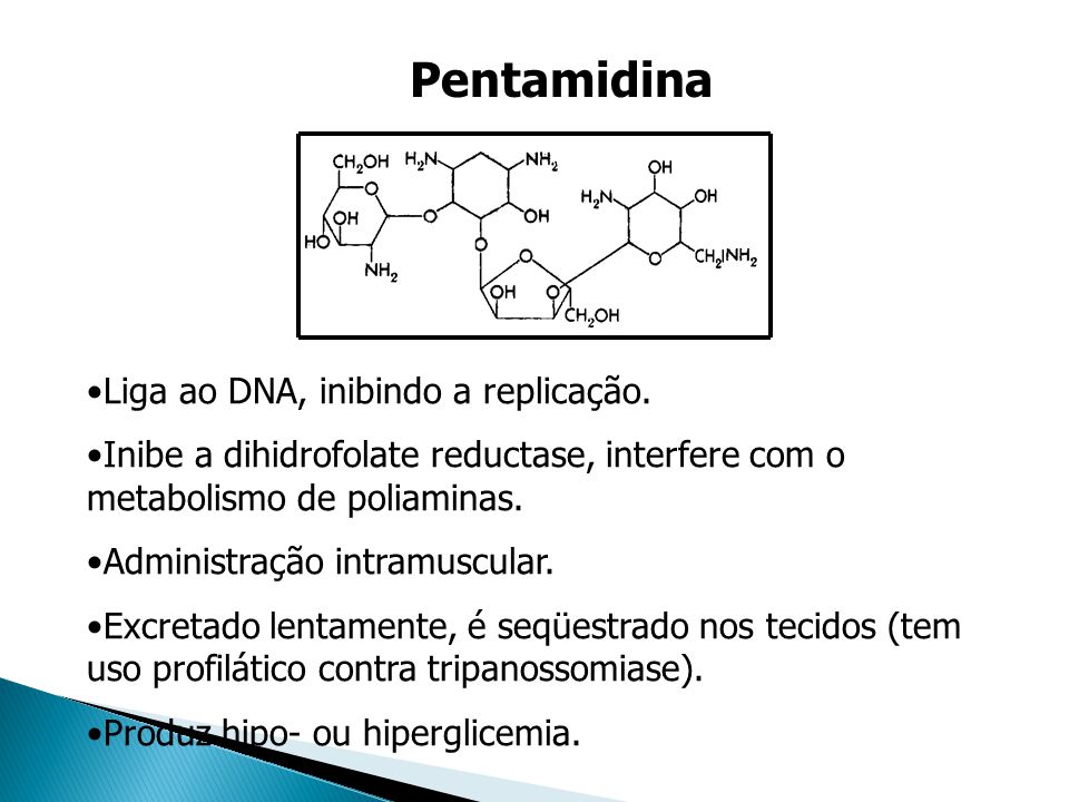 Pentamidina Liga ao DNA, inibindo a replicação.