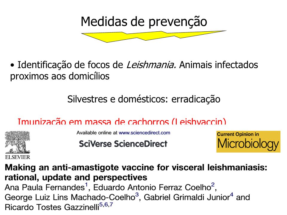 Medidas de prevenção Identificação de focos de Leishmania. Animais infectados proximos aos domicílios.
