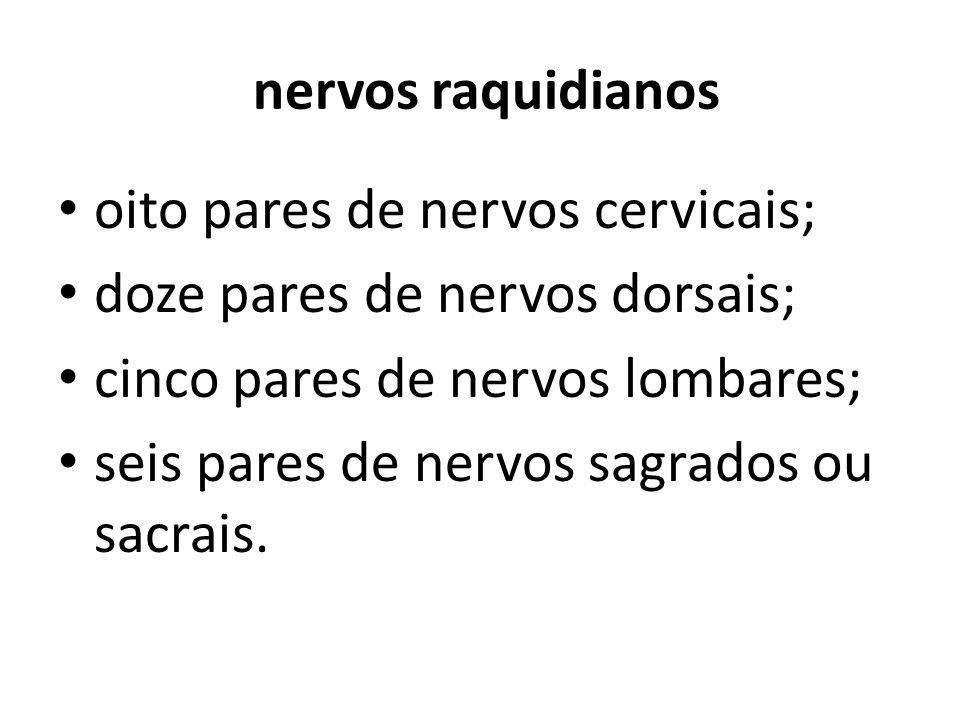 nervos raquidianos oito pares de nervos cervicais; doze pares de nervos dorsais; cinco pares de nervos lombares;