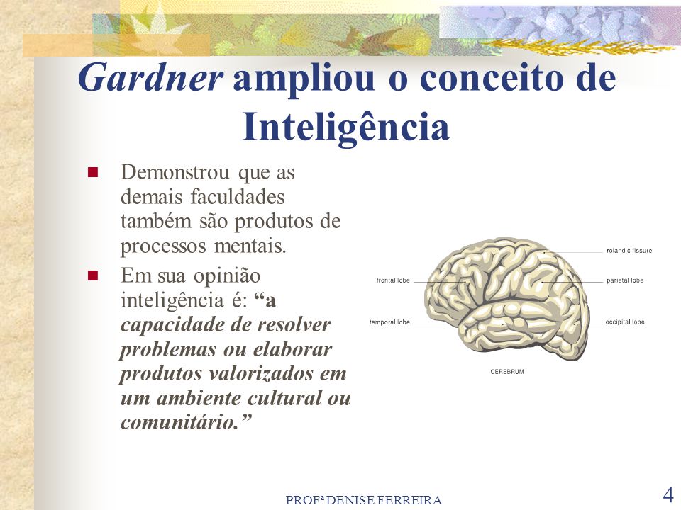 Gardner ampliou o conceito de Inteligência