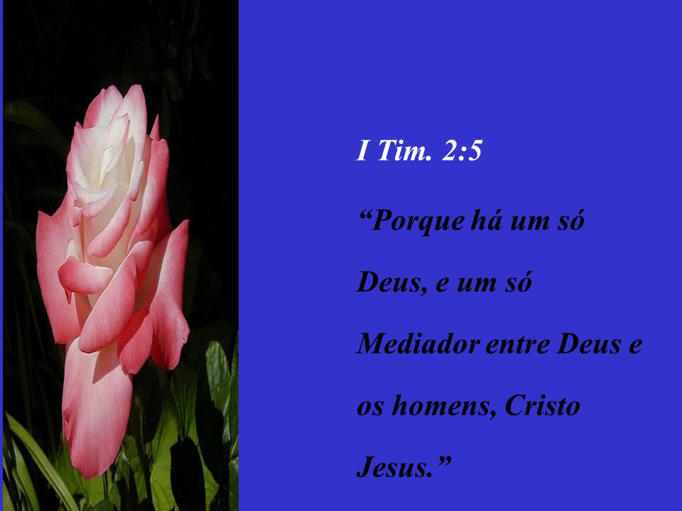 I Tim. 2:5 Porque há um só Deus, e um só Mediador entre Deus e os homens, Cristo Jesus.