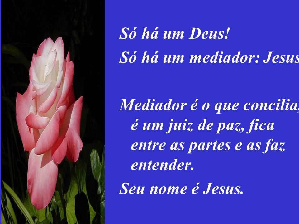 Só há um Deus! Só há um mediador: Jesus. Mediador é o que concilia, é um juiz de paz, fica entre as partes e as faz entender.