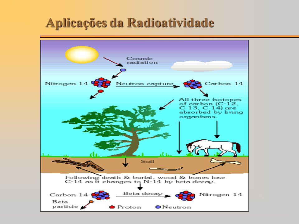 Radioatividade fisica nuclear