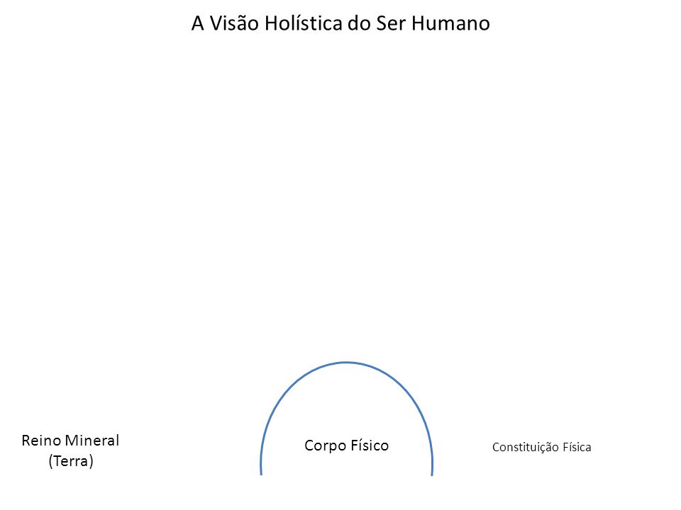 A Visão Holística do Ser Humano