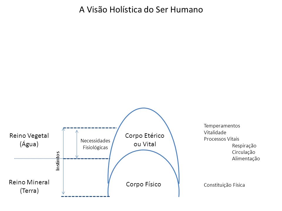 A Visão Holística do Ser Humano