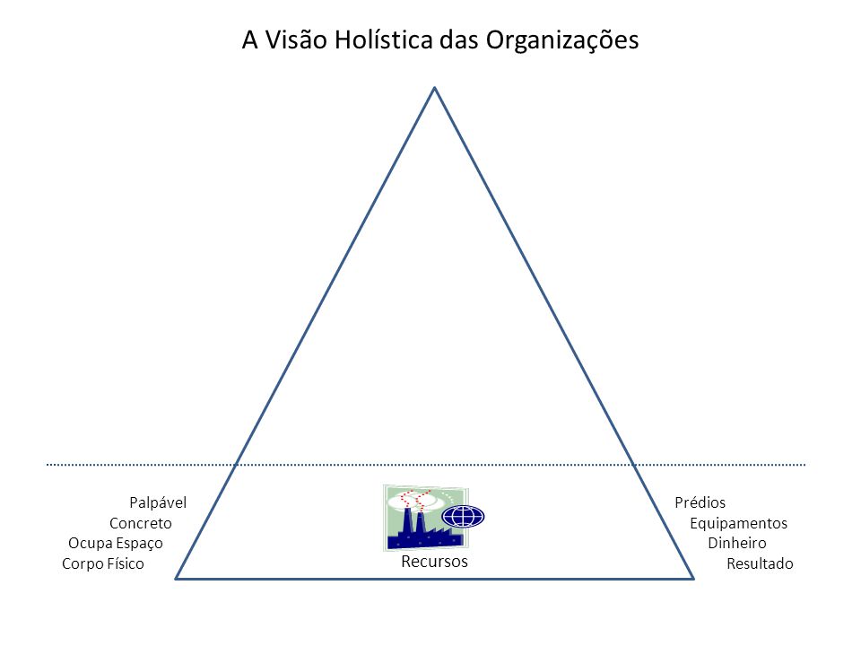 A Visão Holística das Organizações