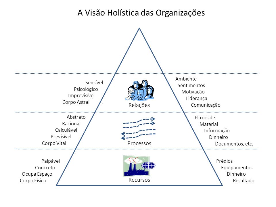 A Visão Holística das Organizações