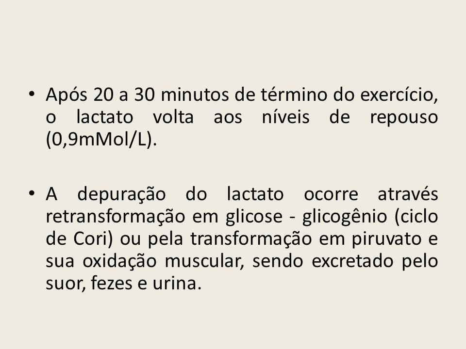 Após 20 a 30 minutos de término do exercício, o lactato volta aos níveis de repouso (0,9mMol/L).