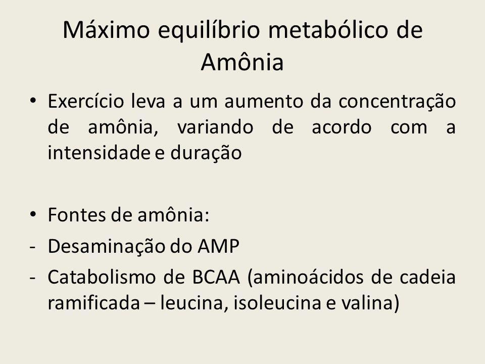 Máximo equilíbrio metabólico de Amônia