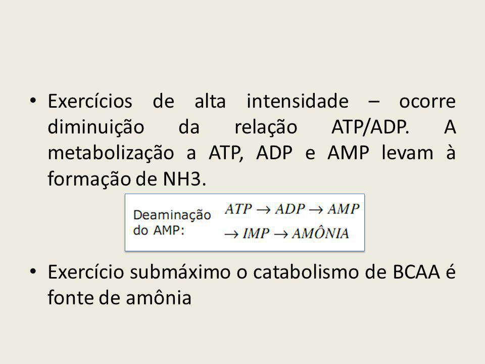 Exercícios de alta intensidade – ocorre diminuição da relação ATP/ADP