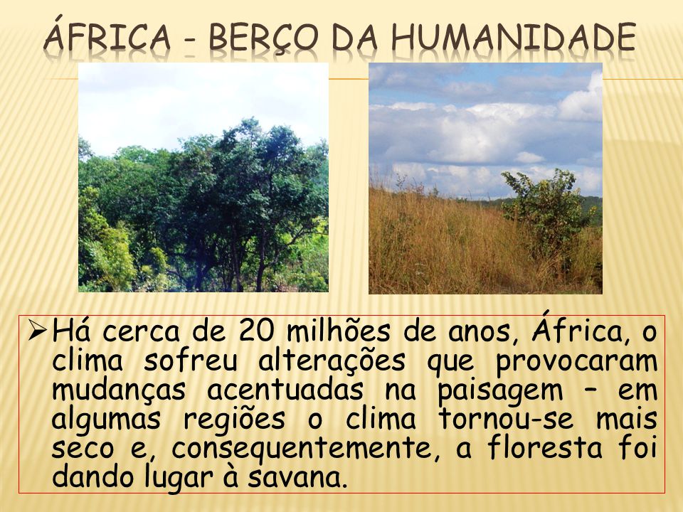 ÁFRICA - BERÇO DA HUMANIDADE