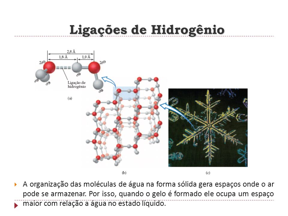 Ligações de Hidrogênio