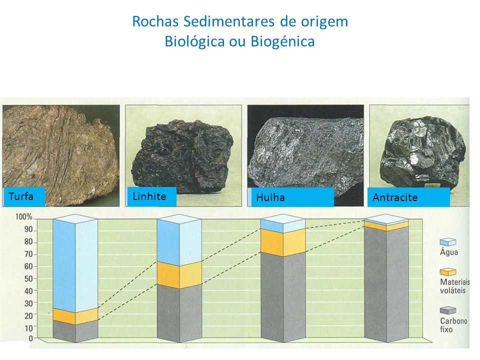 Rochas Sedimentares de origem Biológica ou Biogénica