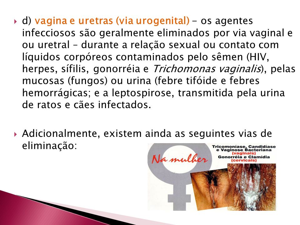 d) vagina e uretras (via urogenital) - os agentes infecciosos são geralmente eliminados por via vaginal e ou uretral – durante a relação sexual ou contato com líquidos corpóreos contaminados pelo sêmen (HIV, herpes, sífilis, gonorréia e Trichomonas vaginalis), pelas mucosas (fungos) ou urina (febre tifóide e febres hemorrágicas; e a leptospirose, transmitida pela urina de ratos e cães infectados.