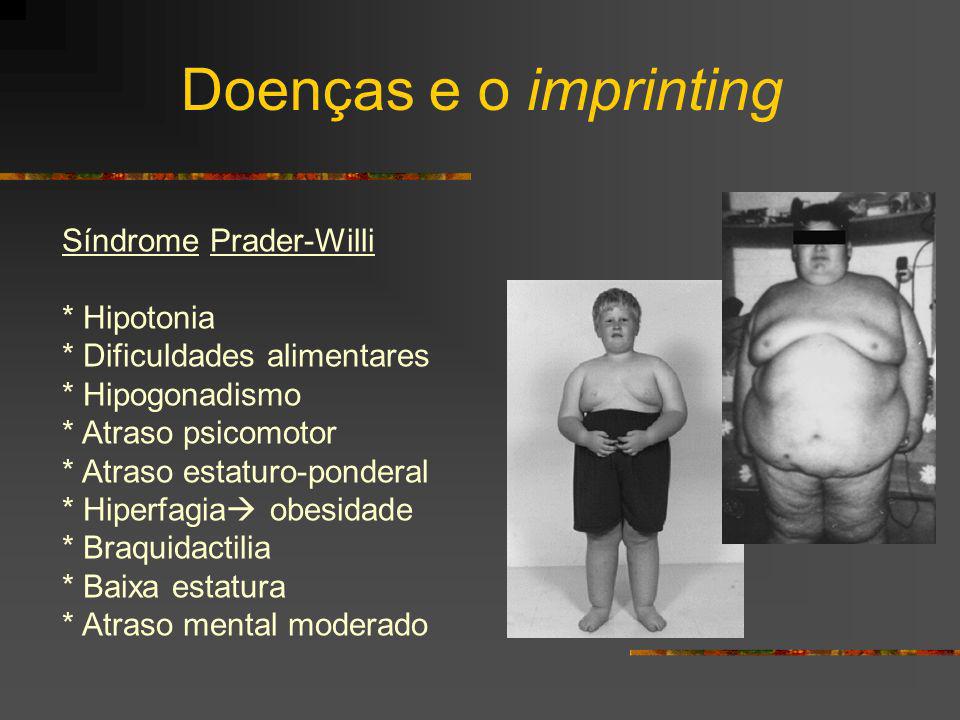 Doenças e o imprinting Síndrome Prader-Willi * Hipotonia