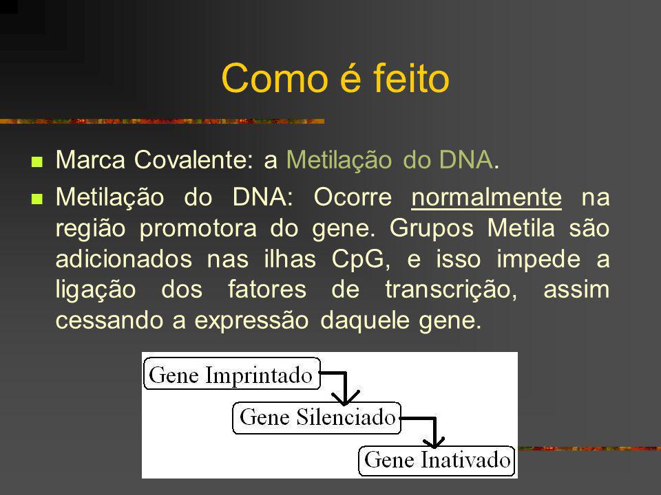 Como é feito Marca Covalente: a Metilação do DNA.