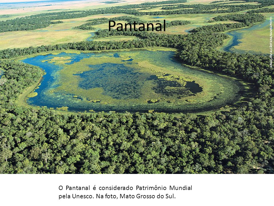 Pantanal ARAQUÉM ALCÂNTARA/SAMBAPHOTO. O Pantanal é considerado Patrimônio Mundial pela Unesco.
