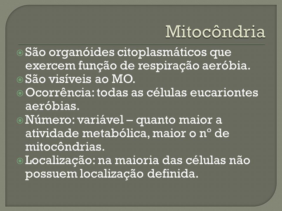 Mitocôndria São organóides citoplasmáticos que exercem função de respiração aeróbia. São visíveis ao MO.