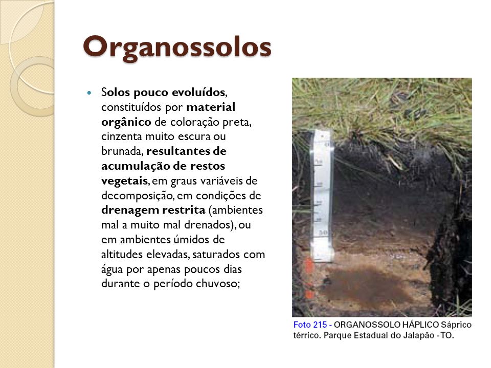 Organossolos
