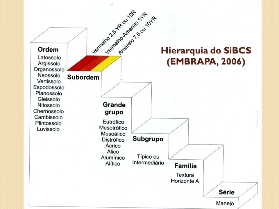 Hierarquia do SiBCS (EMBRAPA, 2006)