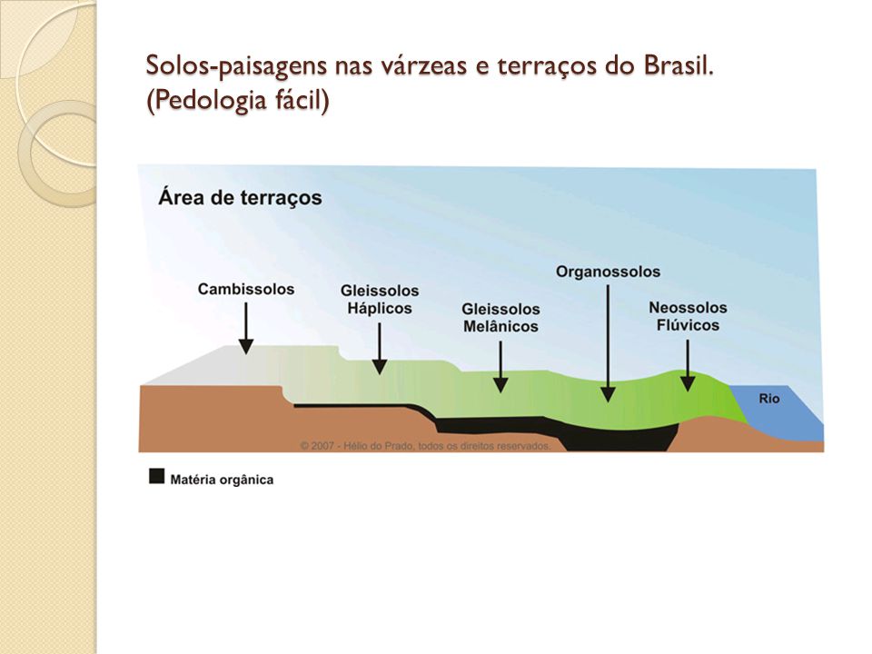 Solos-paisagens nas várzeas e terraços do Brasil. (Pedologia fácil)