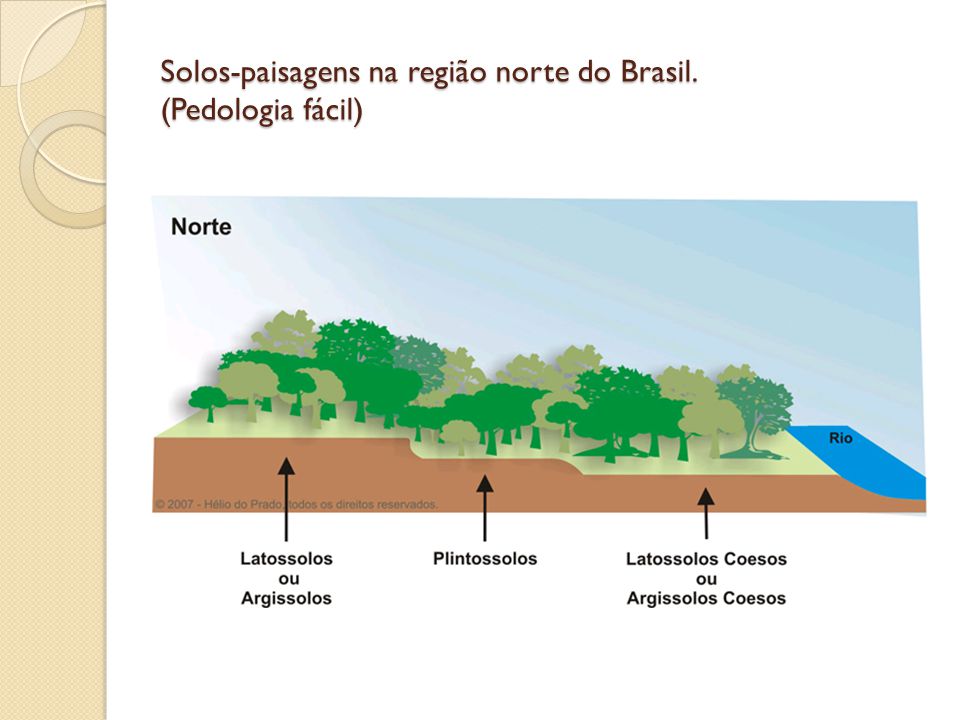 Solos-paisagens na região norte do Brasil. (Pedologia fácil)