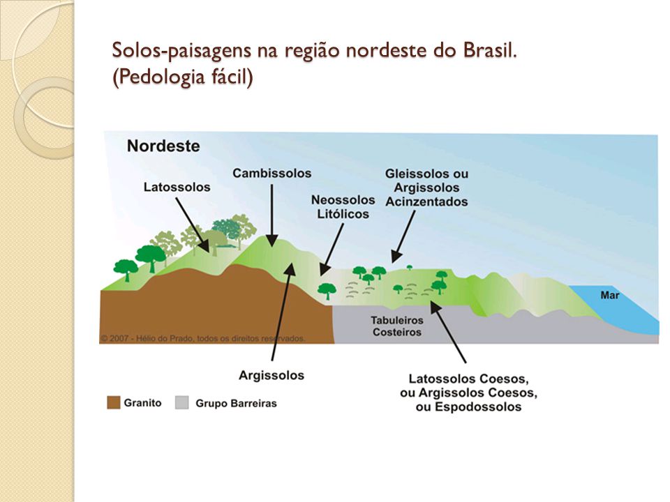 Solos-paisagens na região nordeste do Brasil. (Pedologia fácil)