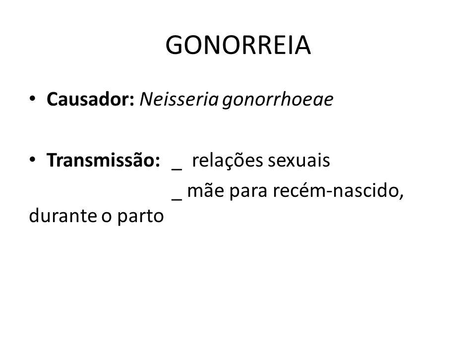 GONORREIA Causador: Neisseria gonorrhoeae