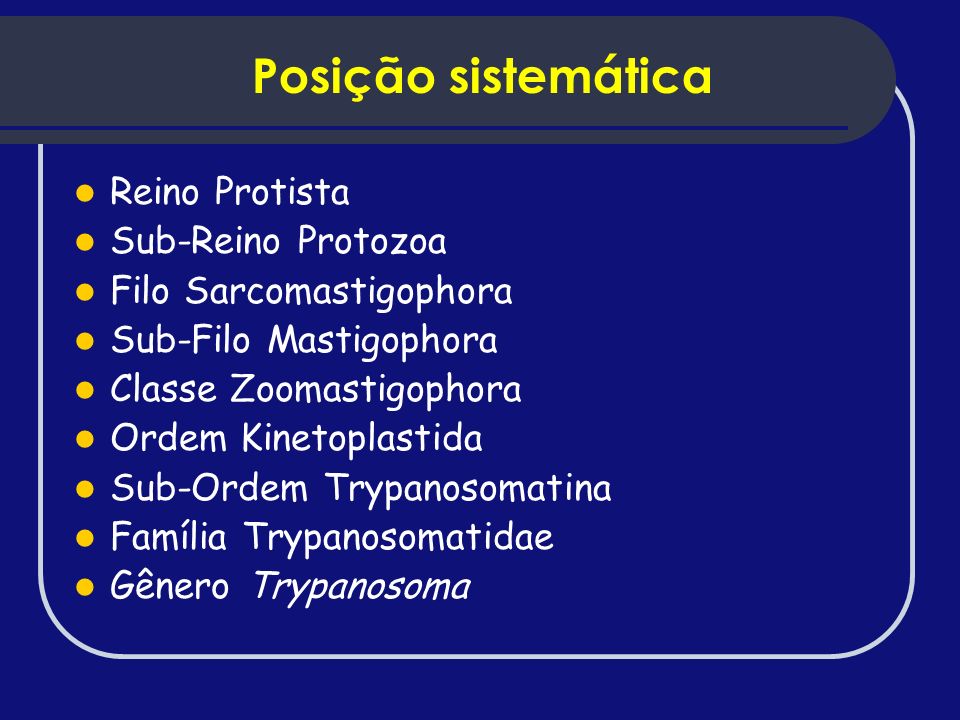 Posição sistemática Reino Protista Sub-Reino Protozoa