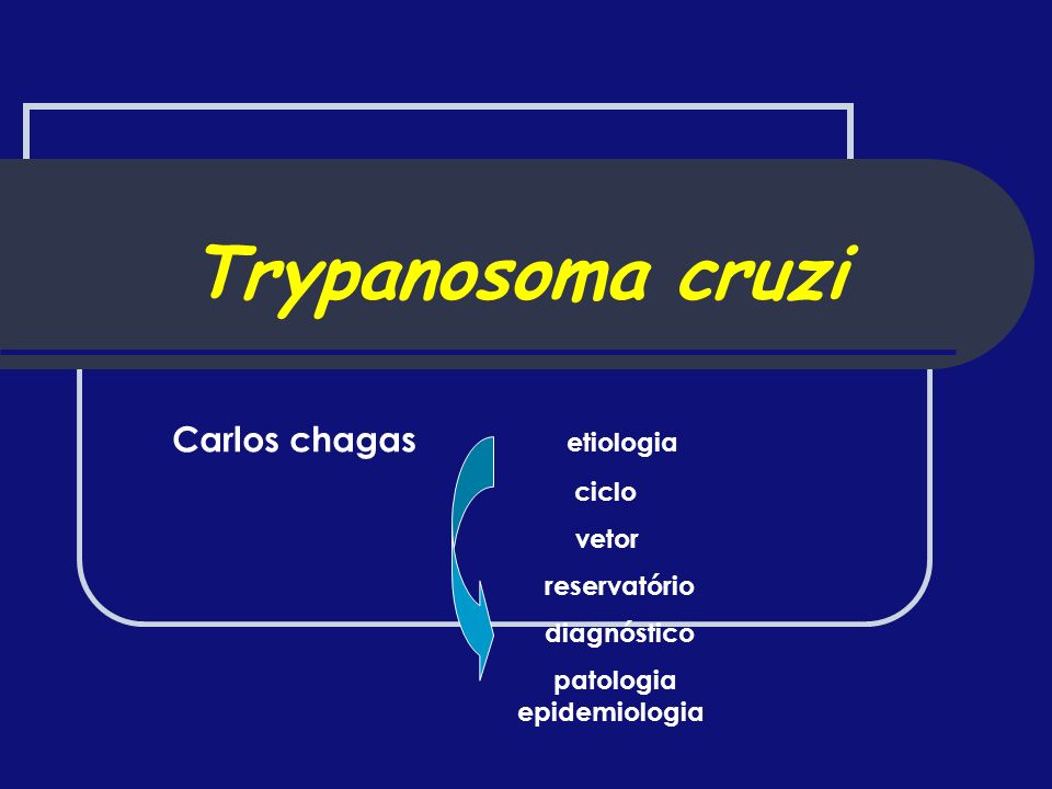 Trypanosoma cruzi Carlos chagas etiologia ciclo vetor reservatório