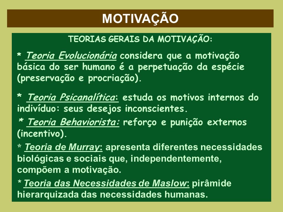 TEORIAS GERAIS DA MOTIVAÇÃO: