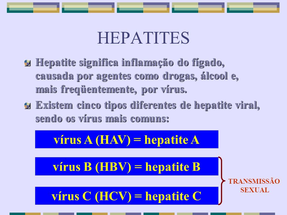 HEPATITES vírus A (HAV) = hepatite A vírus B (HBV) = hepatite B