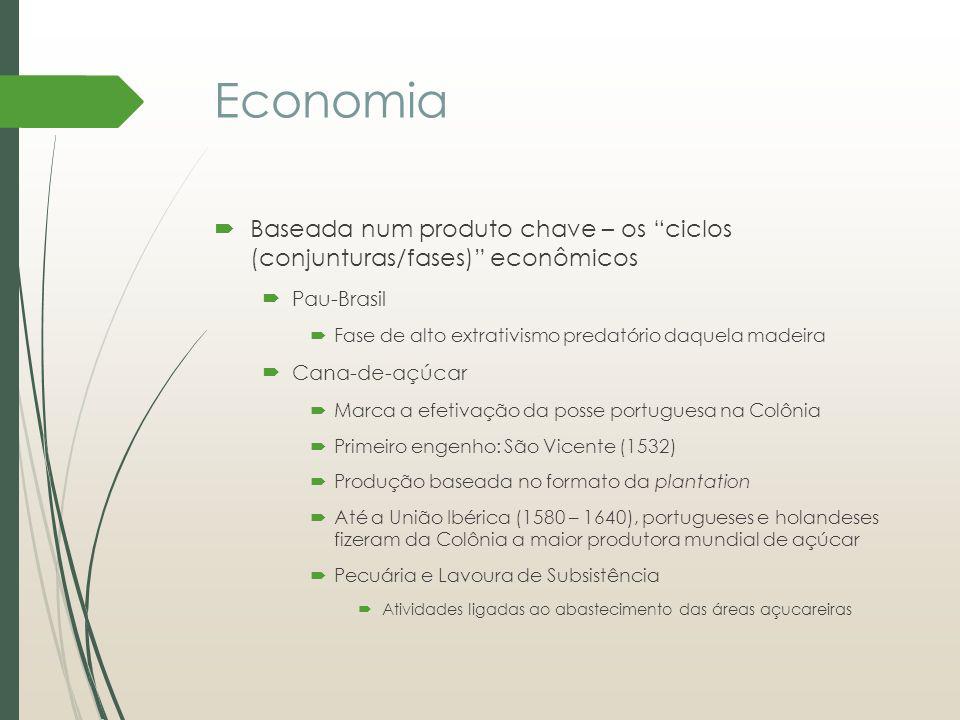 Economia Baseada num produto chave – os ciclos (conjunturas/fases) econômicos. Pau-Brasil. Fase de alto extrativismo predatório daquela madeira.