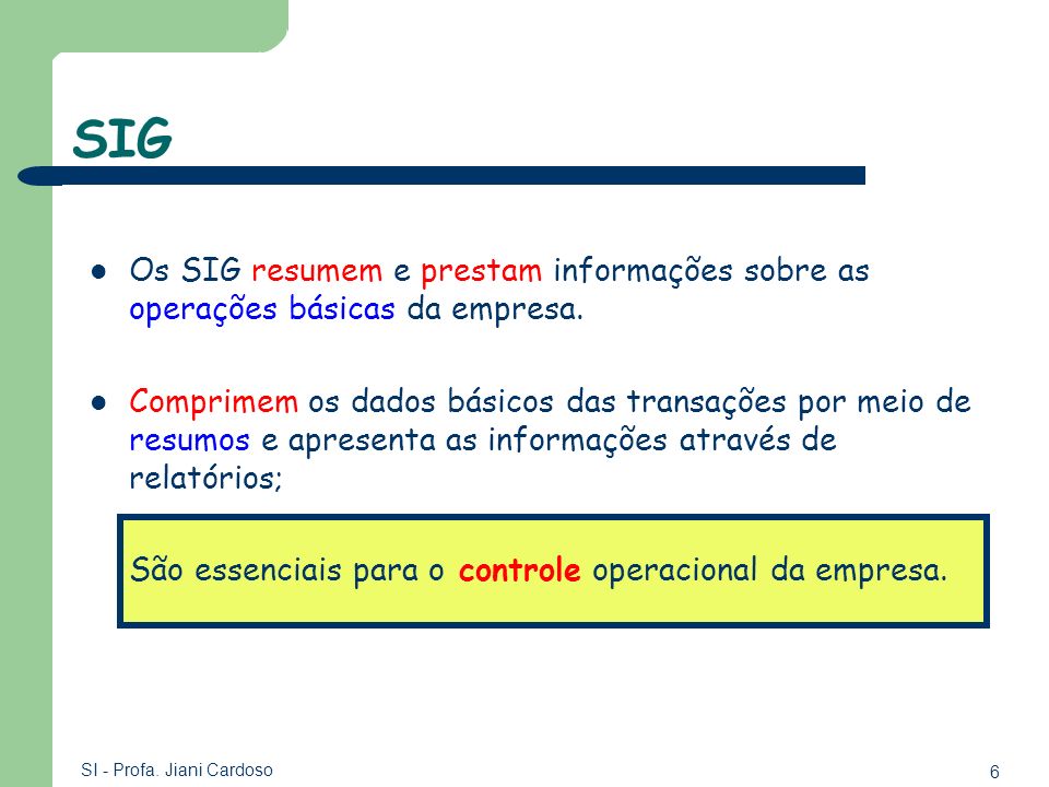 SIG Os SIG resumem e prestam informações sobre as operações básicas da empresa.