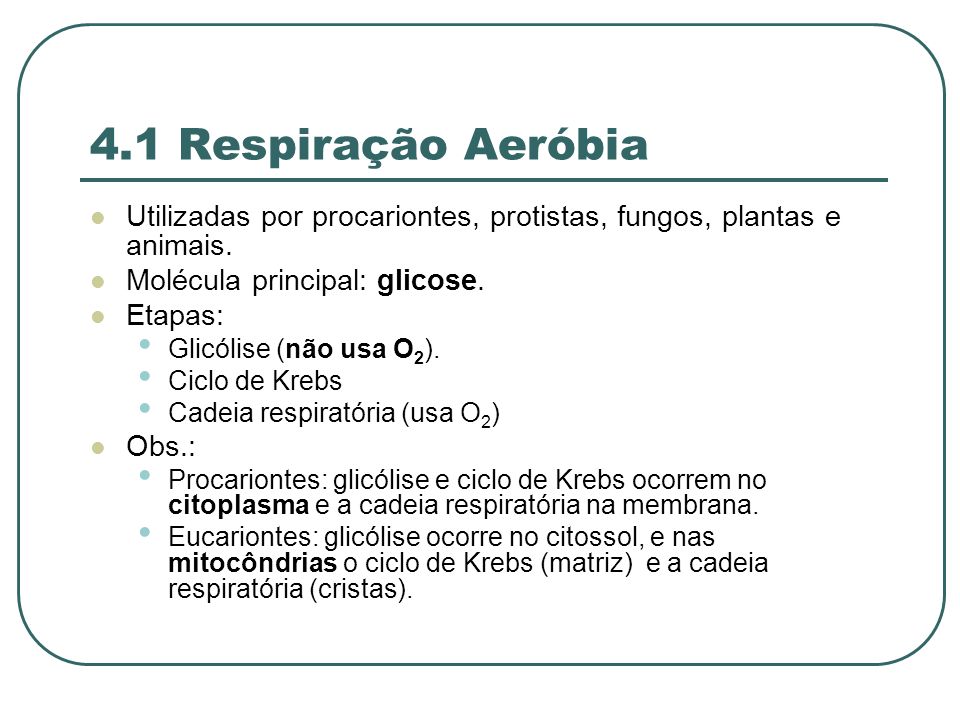 4.1 Respiração Aeróbia Utilizadas por procariontes, protistas, fungos, plantas e animais. Molécula principal: glicose.