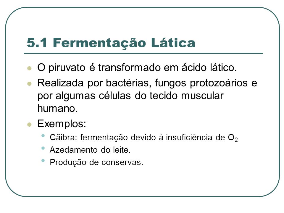 5.1 Fermentação Lática O piruvato é transformado em ácido lático.