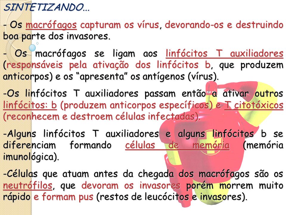 SINTETIZANDO... - Os macrófagos capturam os vírus, devorando-os e destruindo boa parte dos invasores.