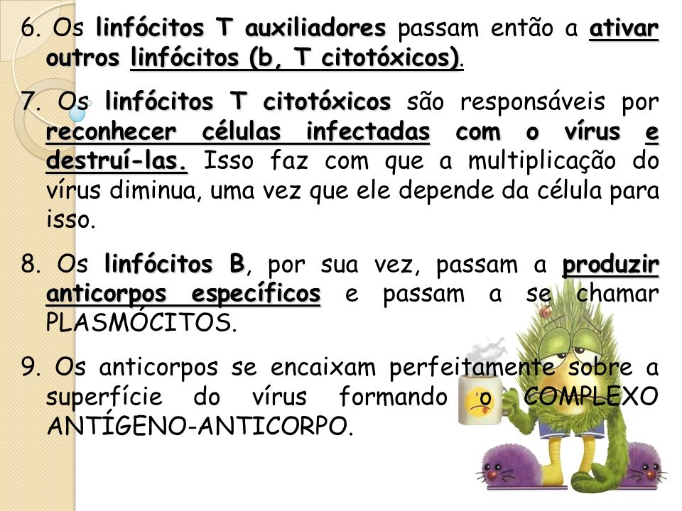 6. Os linfócitos T auxiliadores passam então a ativar outros linfócitos (b, T citotóxicos).