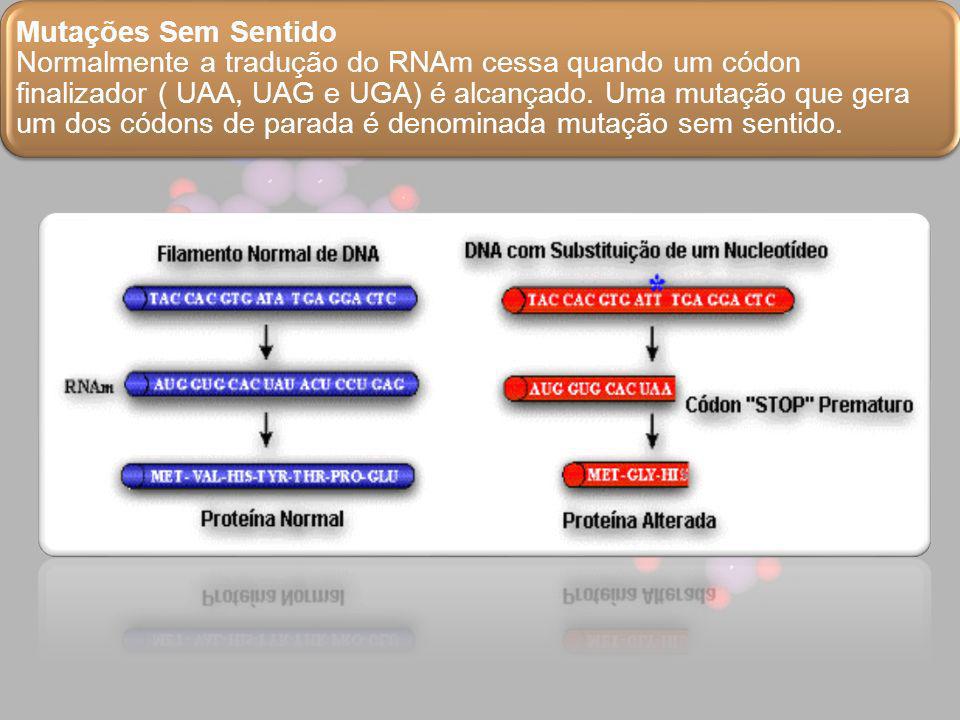Mutações Sem Sentido Normalmente a tradução do RNAm cessa quando um códon finalizador ( UAA, UAG e UGA) é alcançado.