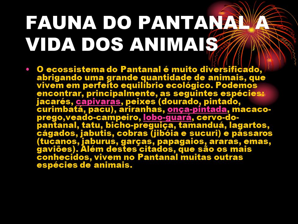 FAUNA DO PANTANAL A VIDA DOS ANIMAIS