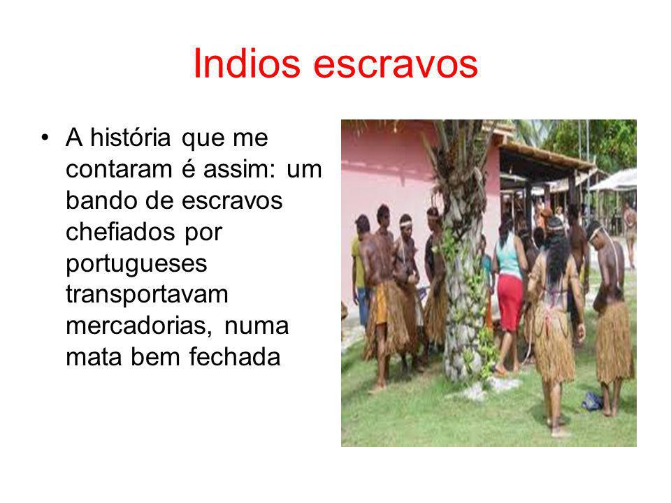 Indios escravos A história que me contaram é assim: um bando de escravos chefiados por portugueses transportavam mercadorias, numa mata bem fechada.