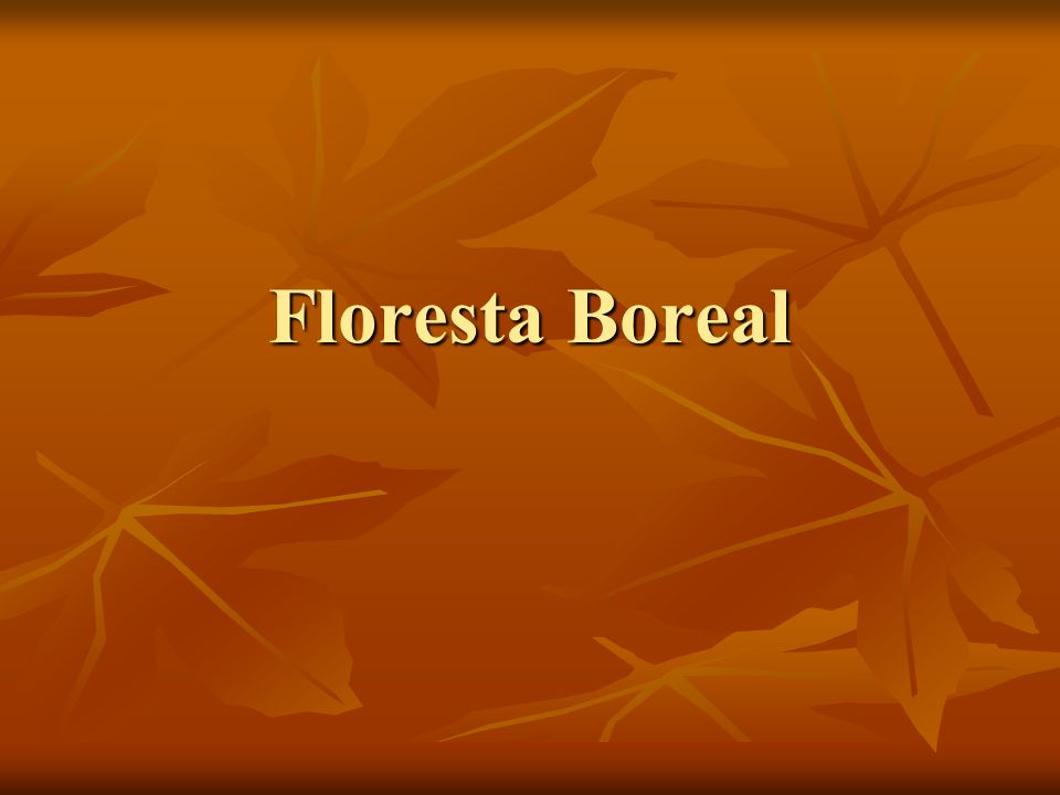 Floresta Boreal