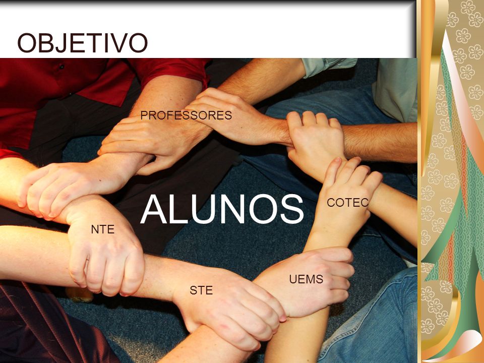 OBJETIVO PROFESSORES ALUNOS COTEC NTE UEMS STE NTE/NOVA ANDRADINA